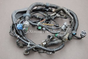 OEM H22a4 Engine Harness